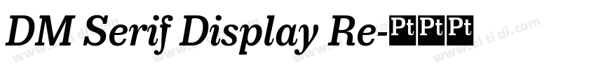 DM Serif Display Re字体转换